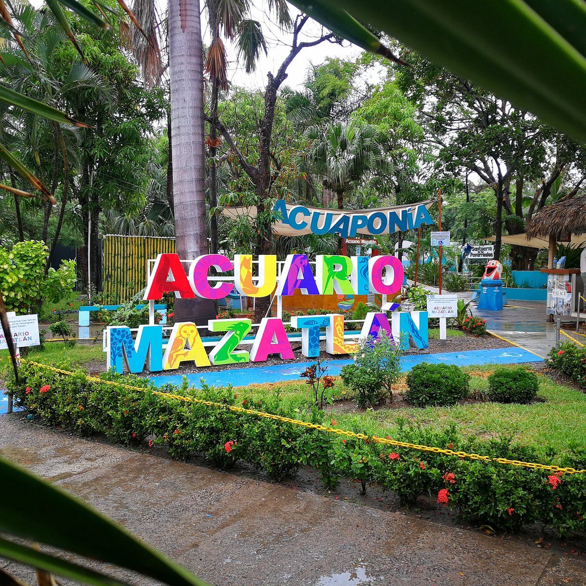 Mazatlan Water Sports